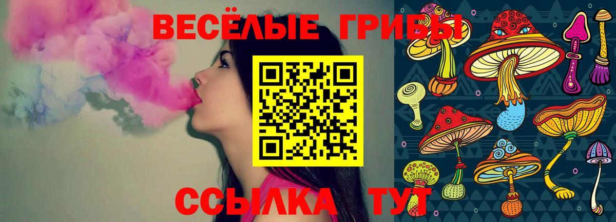Псилоцибиновые грибы GOLDEN TEACHER Якутск