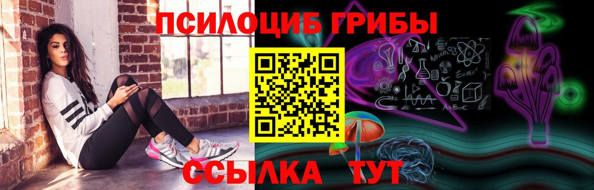 Псилоцибиновые грибы GOLDEN TEACHER  Вход с VPN  Якутск 